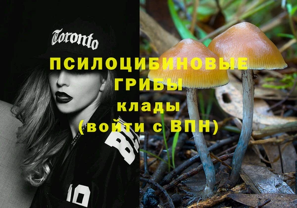 2c-b Волосово