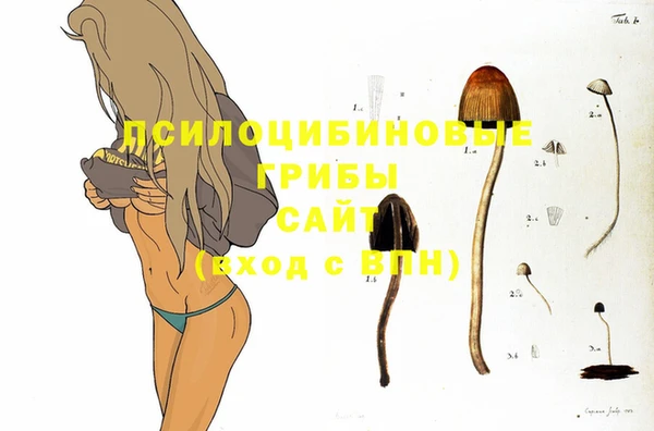 твердый Волоколамск