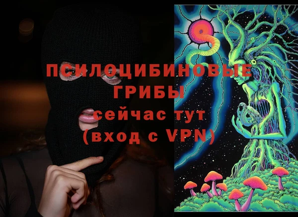 твердый Волоколамск